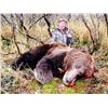 Image 3 : Brown Bear on the Alaska Peninsula