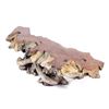 Image 1 : Live Edge Juniper Burl Slab Coffee Table
