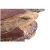 Image 8 : Live Edge Juniper Burl Slab Coffee Table