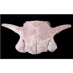 Montana Petrified Bison Calf Skull