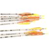 Image 18 : Proline Point Blank Ltd. Compound Bow w/ Arrows