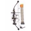 Image 3 : Proline Point Blank Ltd. Compound Bow w/ Arrows