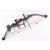Image 5 : Proline Point Blank Ltd. Compound Bow w/ Arrows