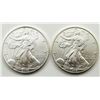Image 1 : 2003 & 1998 AMERICAN SILVER EAGLES