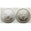 Image 2 : 1992 & 2010 AMERICAN SILVER EAGLES