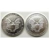 Image 2 : 1989 & 1996 AMERICAN SILVER EAGLES