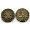 Image 1 : 2-1857 FLYING EAGLE CENTS