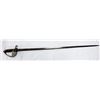 Image 2 : 1882 WWI FRENCH OFFICER'S SWORD