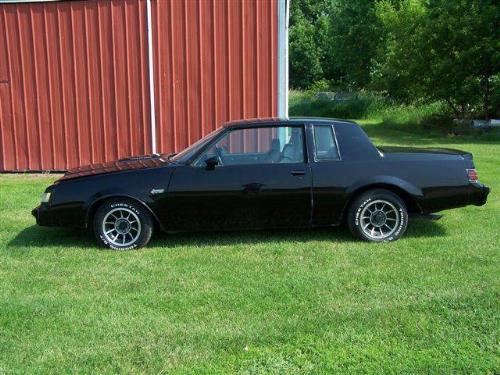 1984 Buick Grand National Black With Black And Tan Lea