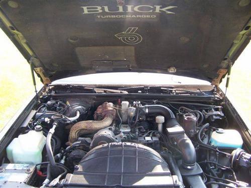 1984 Buick Grand National Black With Black And Tan Lea