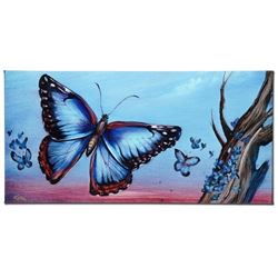 Morpho Butterflies by Katon, Martin