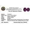 Image 2 : 25.39 ctw Cabochon Ruby Parcel