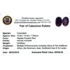 Image 2 : 24.63 ctw Cabochon Ruby Parcel