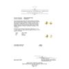 Image 3 : 0.21 ctw Diamond Earrings - 18KT Yellow Gold