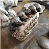 Image 3 : CONCRETE WELCOME PUPPIES