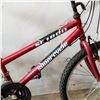 Image 2 : RED SUPERCYLE BIKE