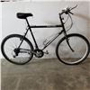 Image 1 : BLACK KUWAHARA BIKE