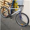 Image 1 : GREY CCM BIKE
