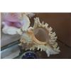 Image 3 : 2 SEA SHELLS AND DOLPHIN SOAP STONE CANDLE HOLDER