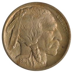 1913 Buffalo Nickel Coin