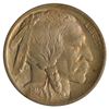 Image 1 : 1913 Buffalo Nickel Coin