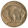 Image 2 : 1913 Buffalo Nickel Coin