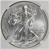 Image 1 : 2014-W AMERICAN SILVER EAGLE