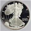 Image 1 : 1986 AMERICAN SILVER EAGLE