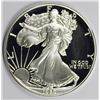 Image 1 : 1989 AMERICAN SILVER EAGLE