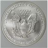 Image 2 : 2007-W AMERICAN SILVER EAGLE