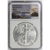 Image 3 : 2015 AMERICAN SILVER EAGLE
