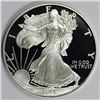 Image 1 : 1998 AMERICAN SILVER EAGLE