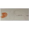Image 2 : J.S.G. BOGGS ART NOTE $10.00 FUN SHOW #152 1997