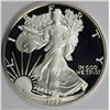 Image 1 : 1987 AMERICAN SILVER EAGLE