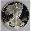 Image 1 : 1991 AMERICAN SILVER EAGLE