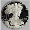 Image 1 : 1992 AMERICAN SILVER EAGLE