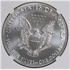 Image 2 : 2017 AMERICAN SILVER EAGLE