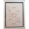 Image 2 : BIRCH BARK BITING (ROSELLA CARNEY)  *7 INCH*