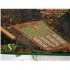 Image 2 : SASKATCHEWAN ROUGHRIDER CRIBBAGE BOARD GAME