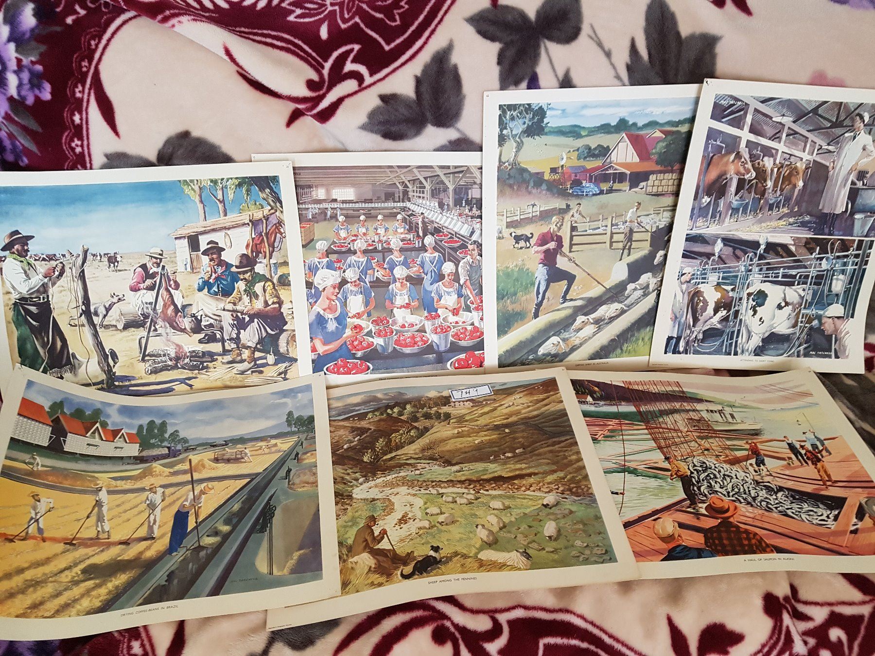 LOT OF 7 MACMILLANS ORIGINAL PRINTS (OLDER) * 21