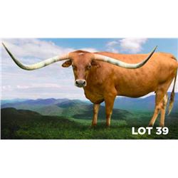 LAR MOCA CARMELA 2111