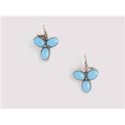 A Pair of Earrings