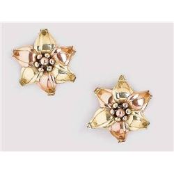 A Pair of Earrings
