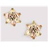 Image 1 : A Pair of Earrings