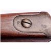 Image 14 : 3SUMLS-129 SPRINGFIELD MDL 1878 TRAPDOOR