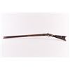 Image 2 : SUMLS-131 AMER. FULL STOCK KENTUCKY