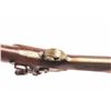 Image 8 : 19IB-6 BLUNDERBUSS