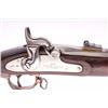 Image 10 : 19IB-9 COLT MUSKET
