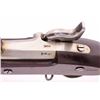 Image 11 : 19IB-9 COLT MUSKET