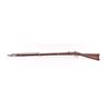 Image 2 : 19IB-9 COLT MUSKET